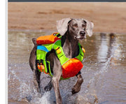 Summer Cooling To Prevent Heat Beach Swimsuit To Prevent Drowning Dog