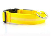 Safety Dog LED Collar - OFEBHS.PT