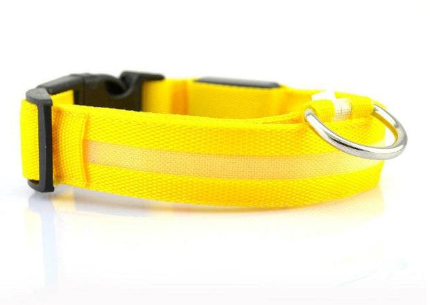 Safety Dog LED Collar - OFEBHS.PT
