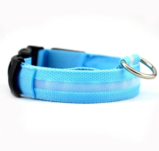 Safety Dog LED Collar - OFEBHS.PT