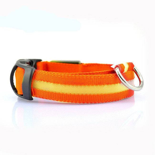Safety Dog LED Collar - OFEBHS.PT