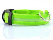 Safety Dog LED Collar - OFEBHS.PT