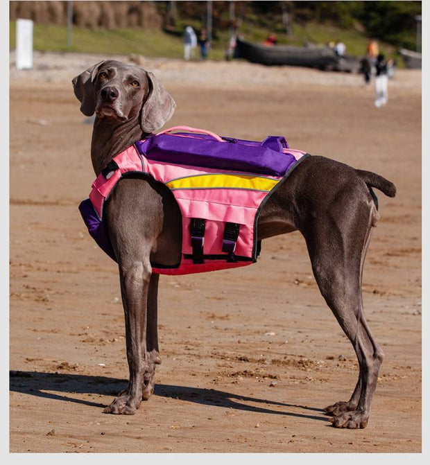 Summer Cooling To Prevent Heat Beach Swimsuit To Prevent Drowning Dog