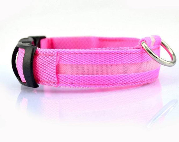 Safety Dog LED Collar - OFEBHS.PT
