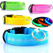 Safety Dog LED Collar - OFEBHS.PT