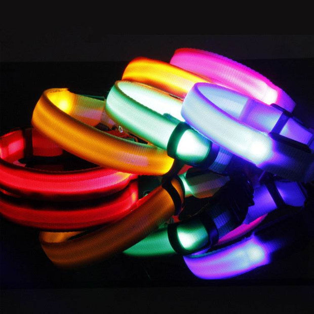 Safety Dog LED Collar - OFEBHS.PT