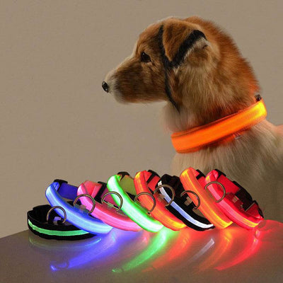 Safety Dog LED Collar - OFEBHS.PT