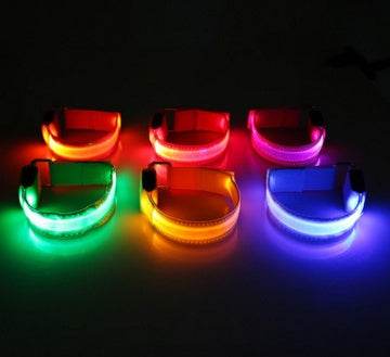 Safety Dog LED Collar - OFEBHS.PT