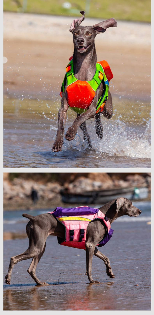 Summer Cooling To Prevent Heat Beach Swimsuit To Prevent Drowning Dog
