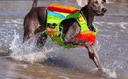 Summer Cooling To Prevent Heat Beach Swimsuit To Prevent Drowning Dog